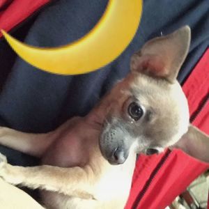 Meet your Posher, Sergio